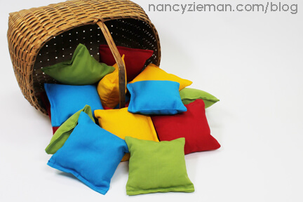 BeanBags NancyZieman Last 2 