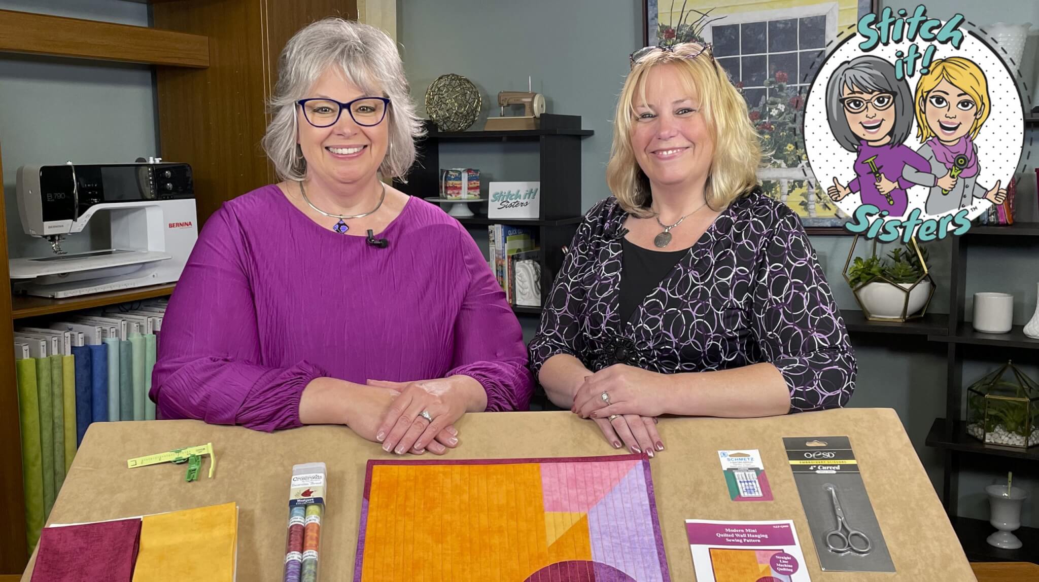 Stitch it! Sisters NEW Ultimate Straight Line Machine Quilting Tutorial by the Stitch it! Sisters at Nancy Zieman Productions