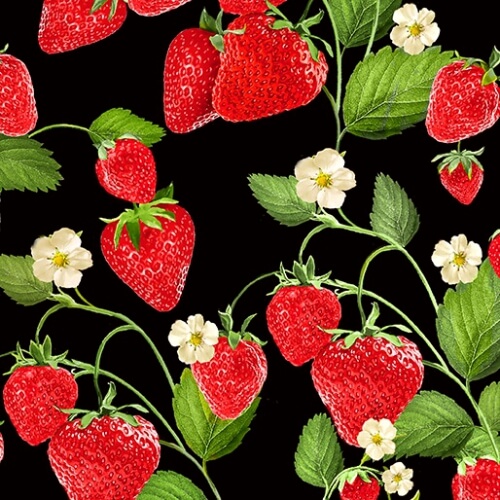 Strawberry Fields Forever Fabric Available at Nancy Zieman Productions at ShopNZP.com