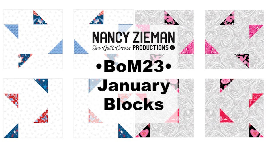January 2023 NZP Block of the Month