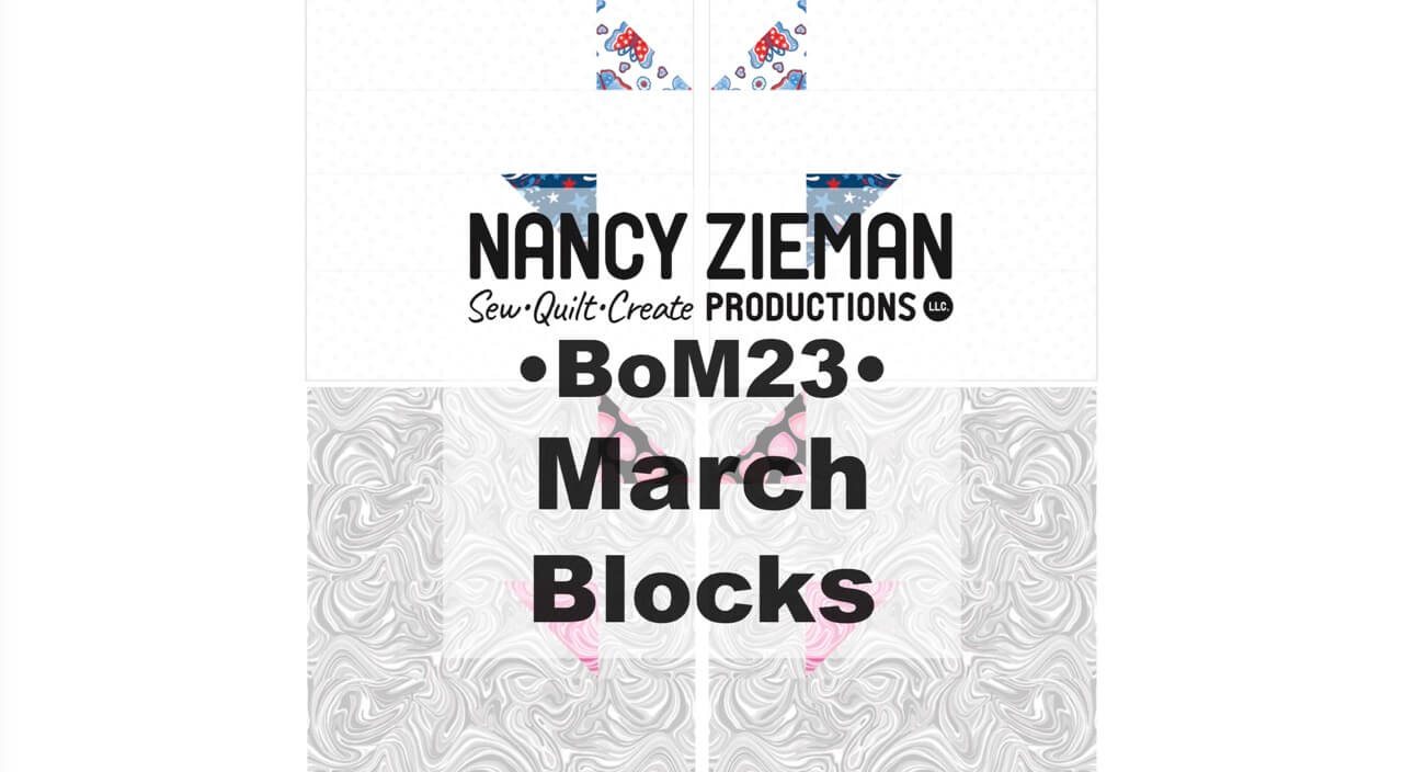 Nancy Zieman The Blog – March 2023 NZP Block of the Month