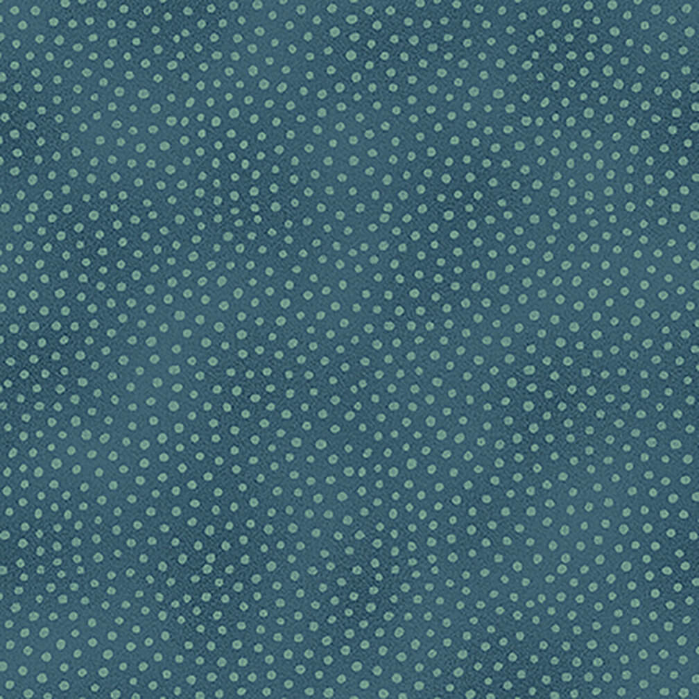 NEW! Star of Wonder, Star of Light Fabric Collection by Nancy Halvorsen at Nancy Zieman Productions at ShopNZP.com