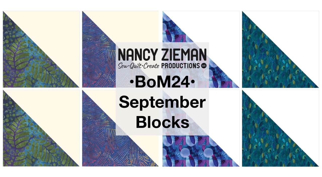 September 2024 NZP Block of the Month