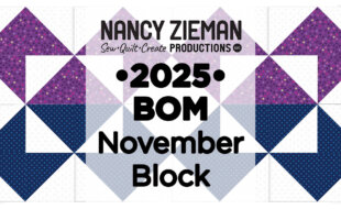 2025 Nancy Zieman Productions Free Block of the Month Mystery Quilt Series November 32