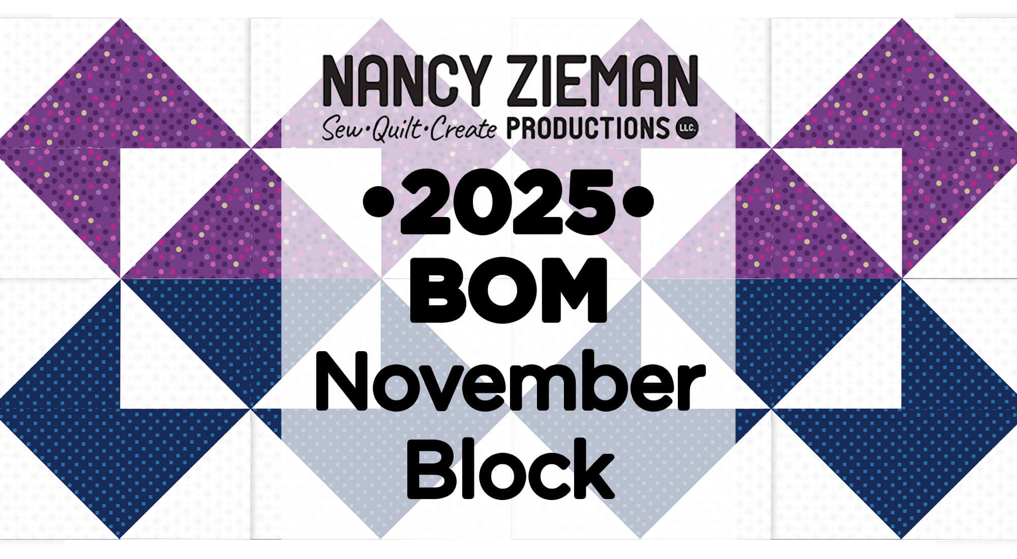 2025 Nancy Zieman Productions Free Block of the Month Mystery Quilt Series November 32
